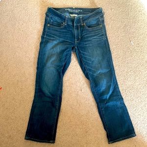 American Eagle Artist Crop Jeans